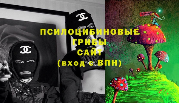 2c-b Семёнов
